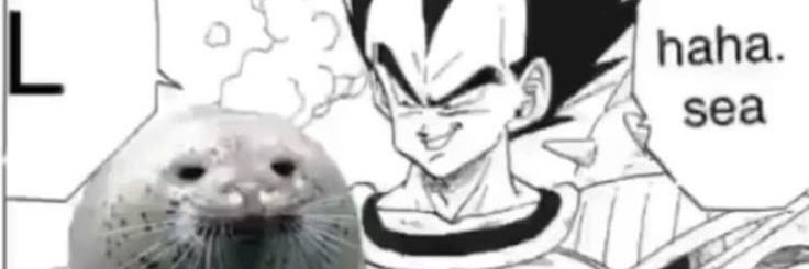 pauldano420's profile banner image