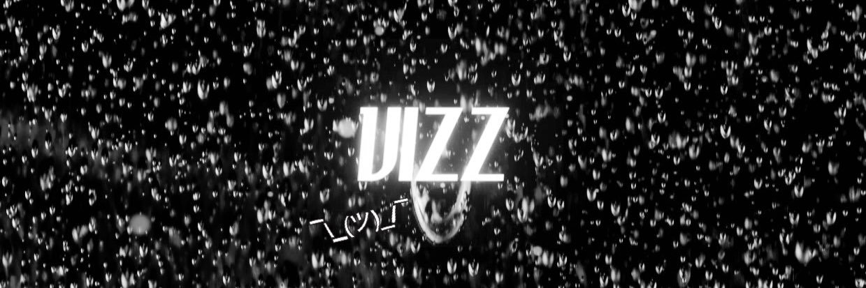 vizz banner