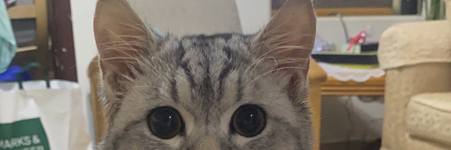 mariamhardann's profile banner image