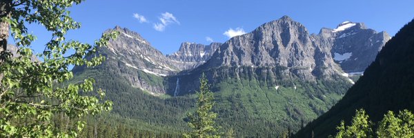 LetaSuzanne Profile Banner
