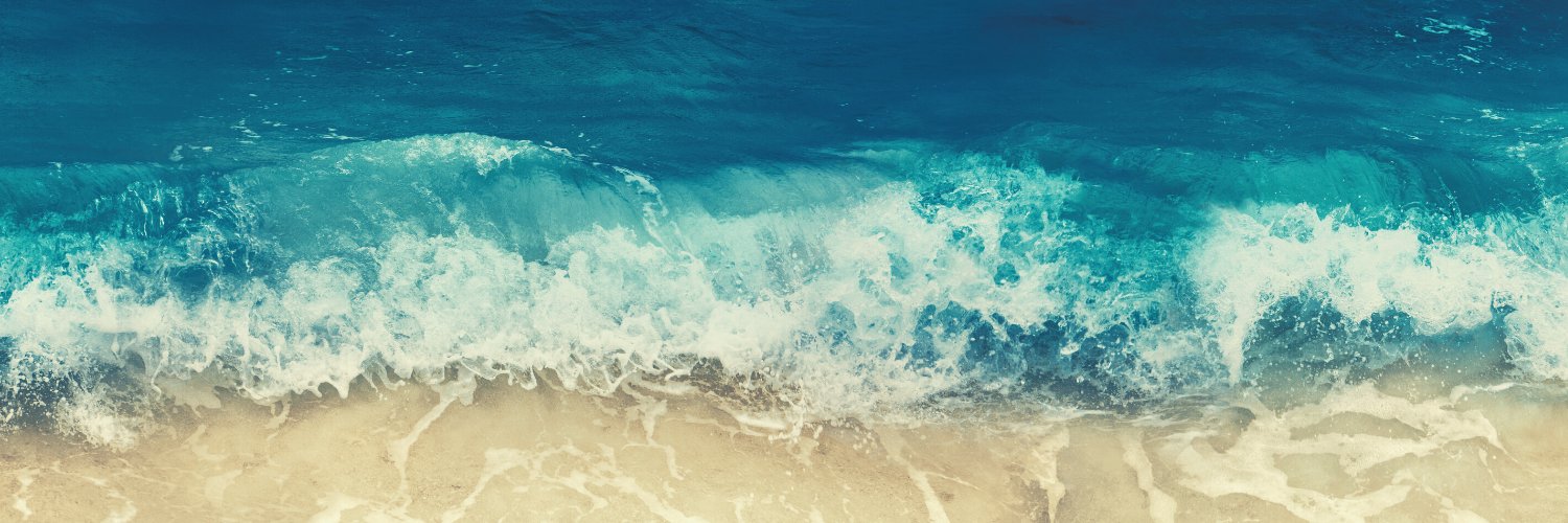 Seas the Day Podcast banner