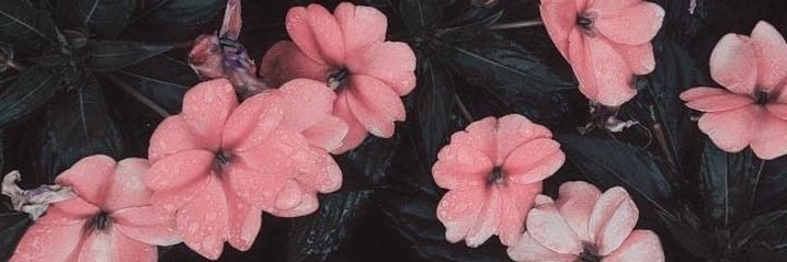 eleni_ff's profile banner image
