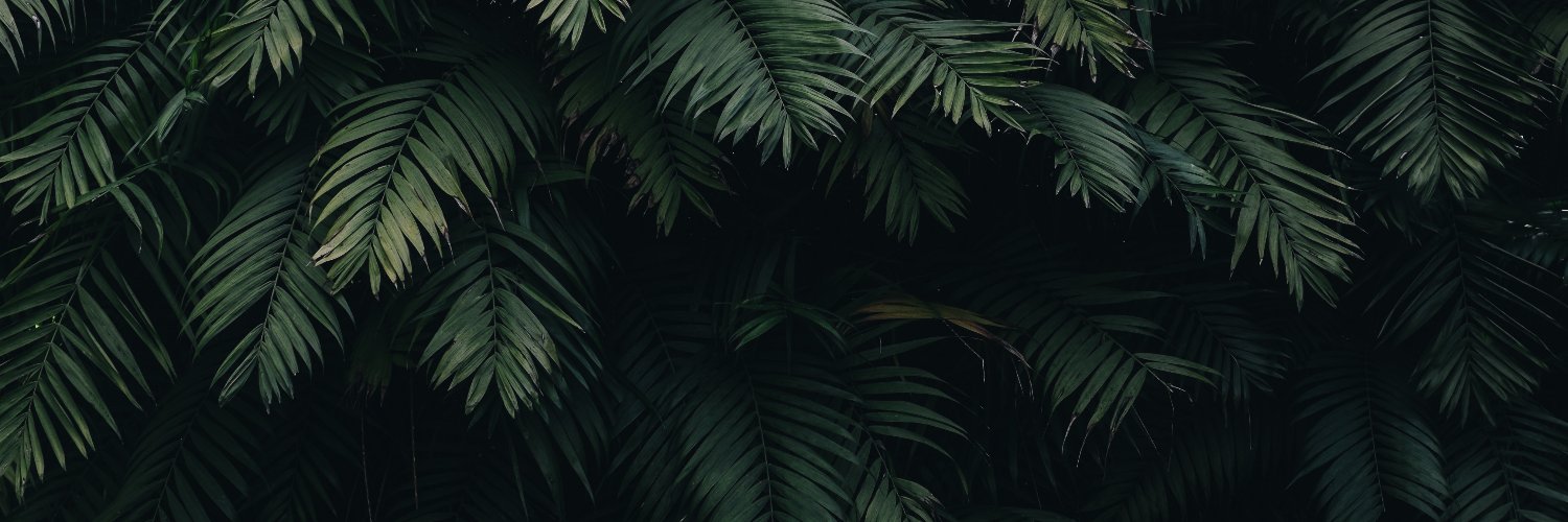 IanPunsalan's profile banner image