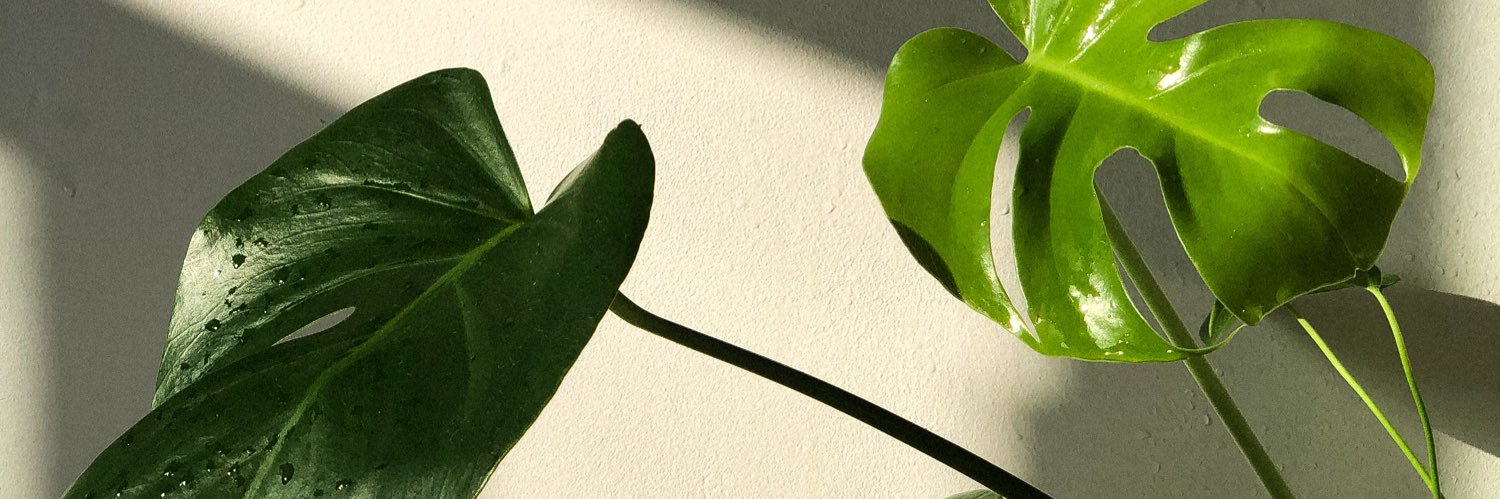 g banner