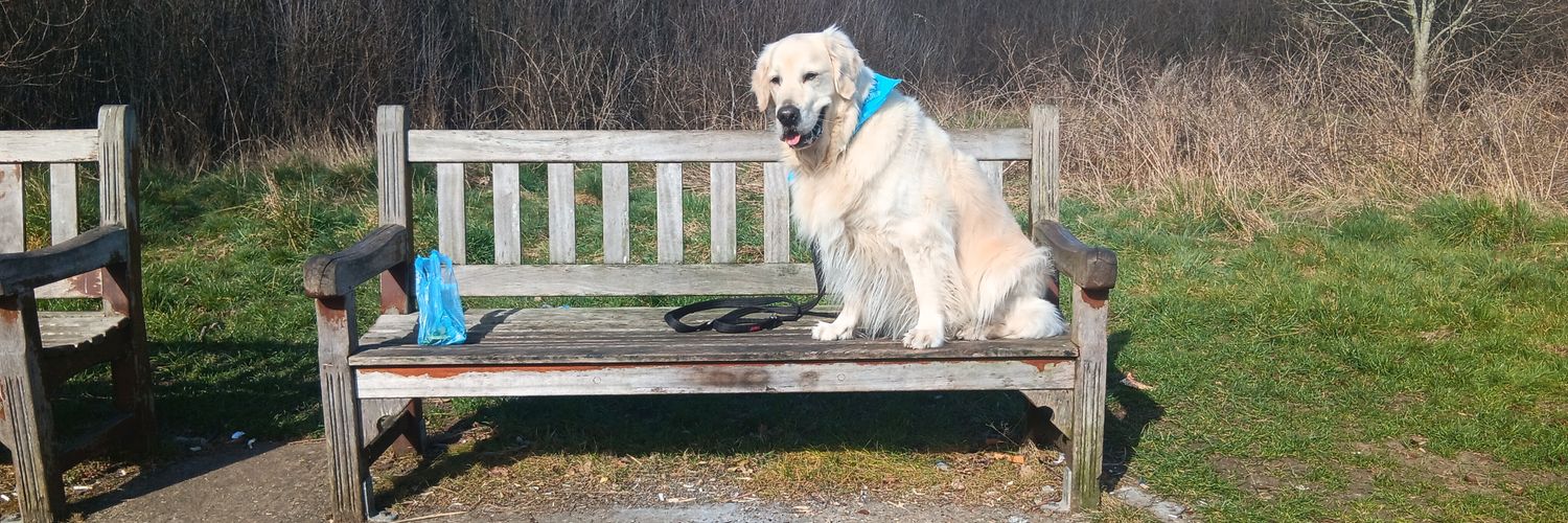 Marxist Fudge Bombes in Soho💥💣💥💣💥💣 banner