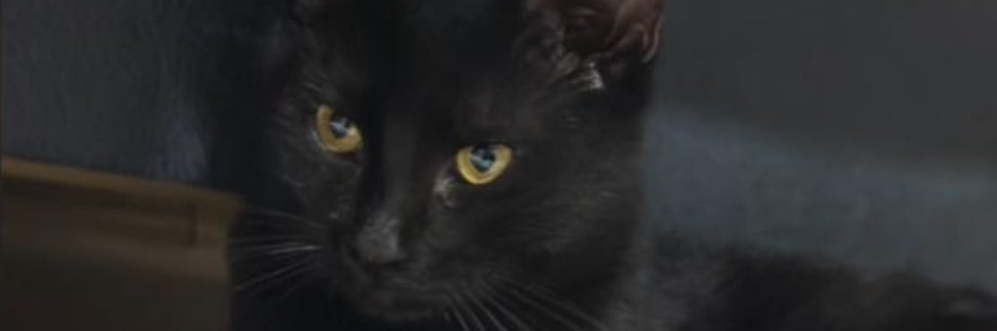 _fthari's profile banner image