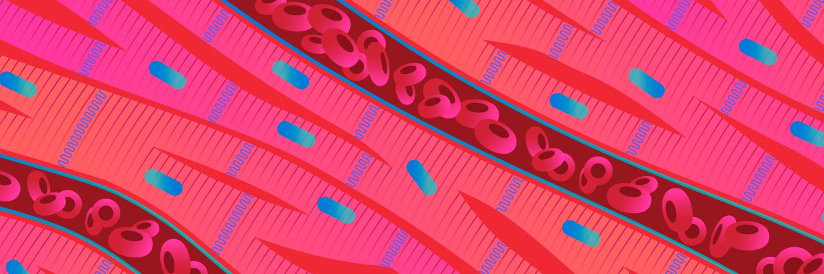 Nature Cardiovascular Research banner