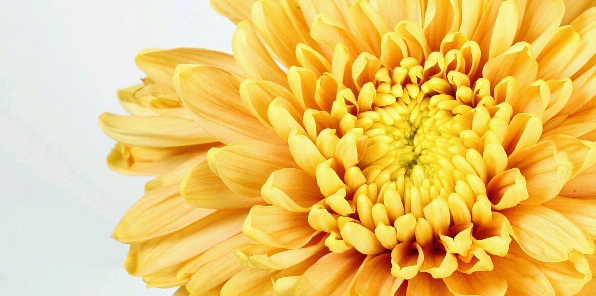 debora_debb's profile banner image