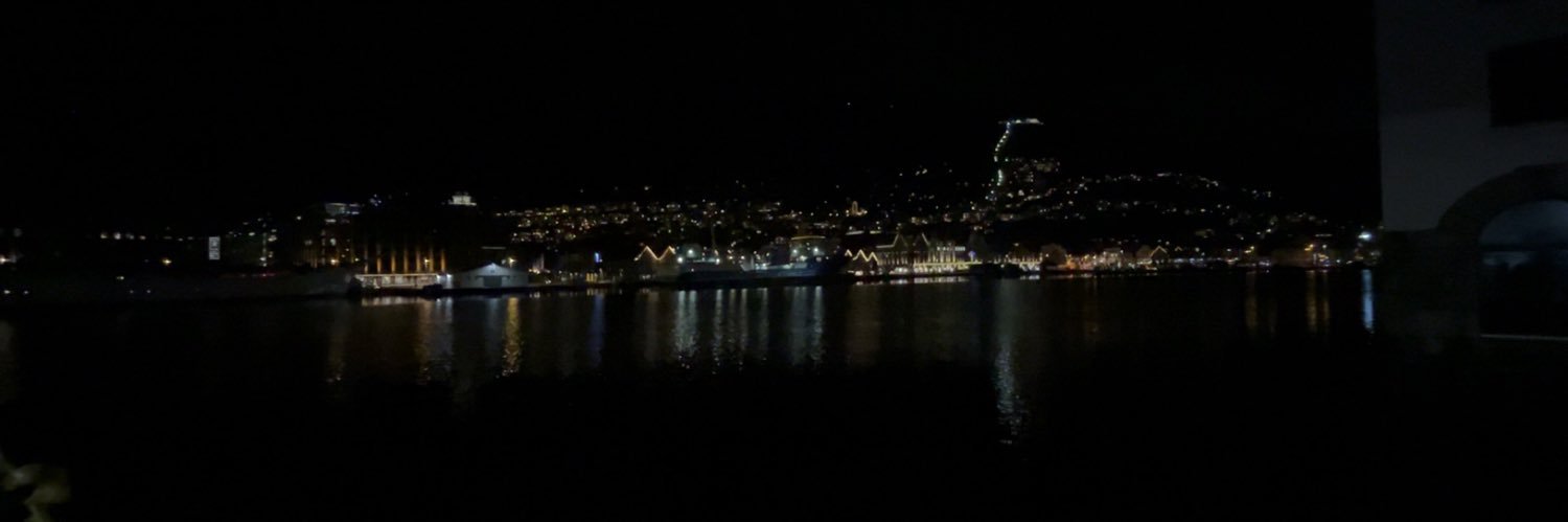 niclasriedel_ banner