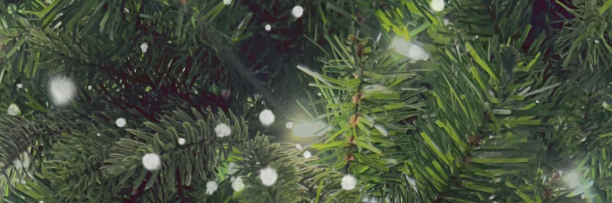 sarachacha7's profile banner image
