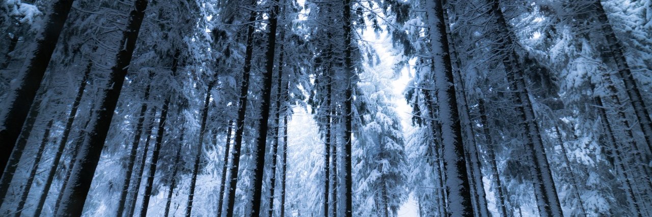 slowbelka's profile banner image
