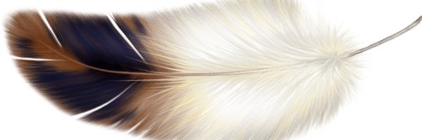 PegsLynch's profile banner image