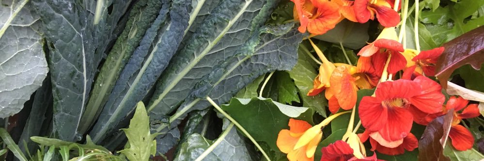 Peter Harrison banner