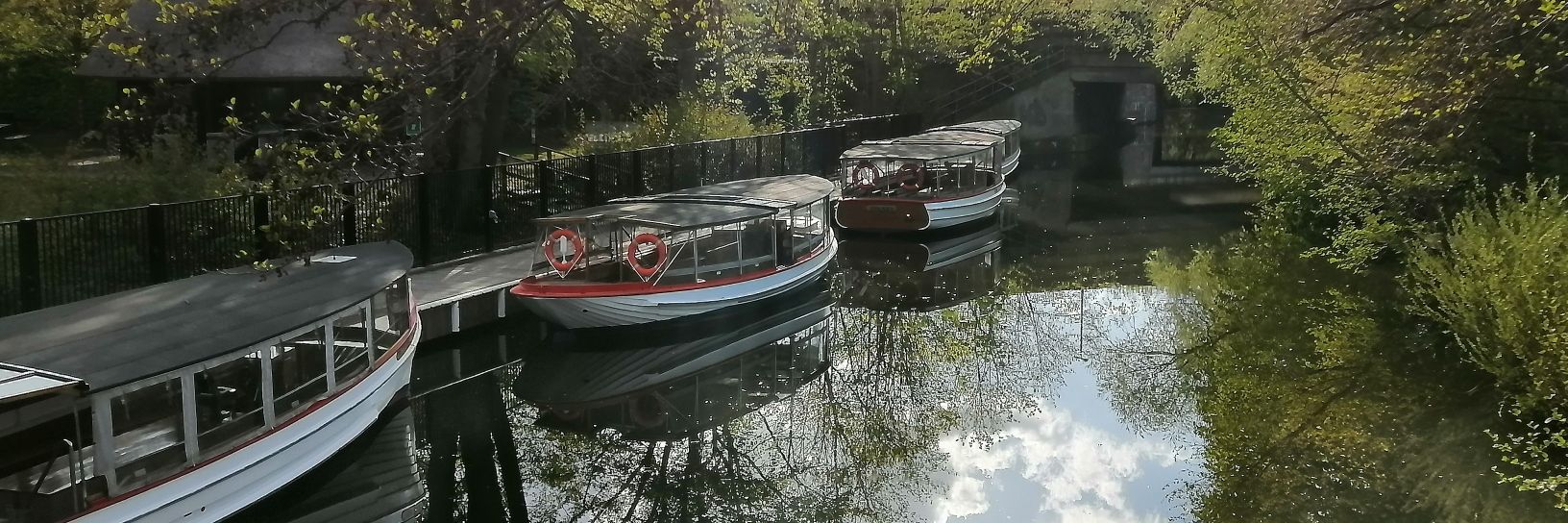 Astrid Elena  banner