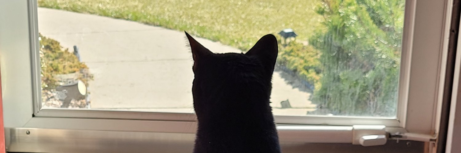 Moonthecoolcat's profile banner image