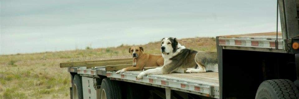 Ekwensu Ocha 😈 banner