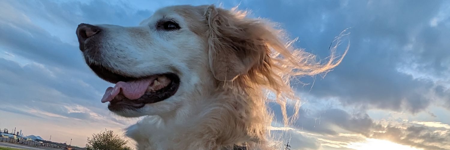 fal_pp's profile banner image