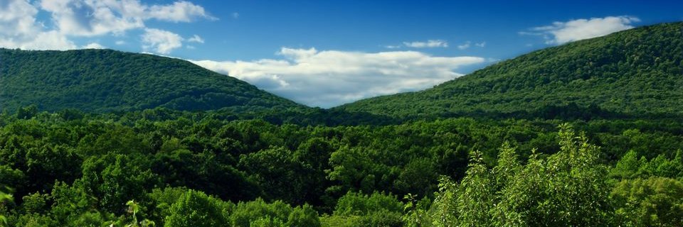 Clean Air Action banner