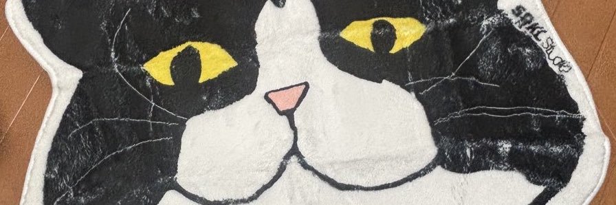 こぶちゃ🐈 banner