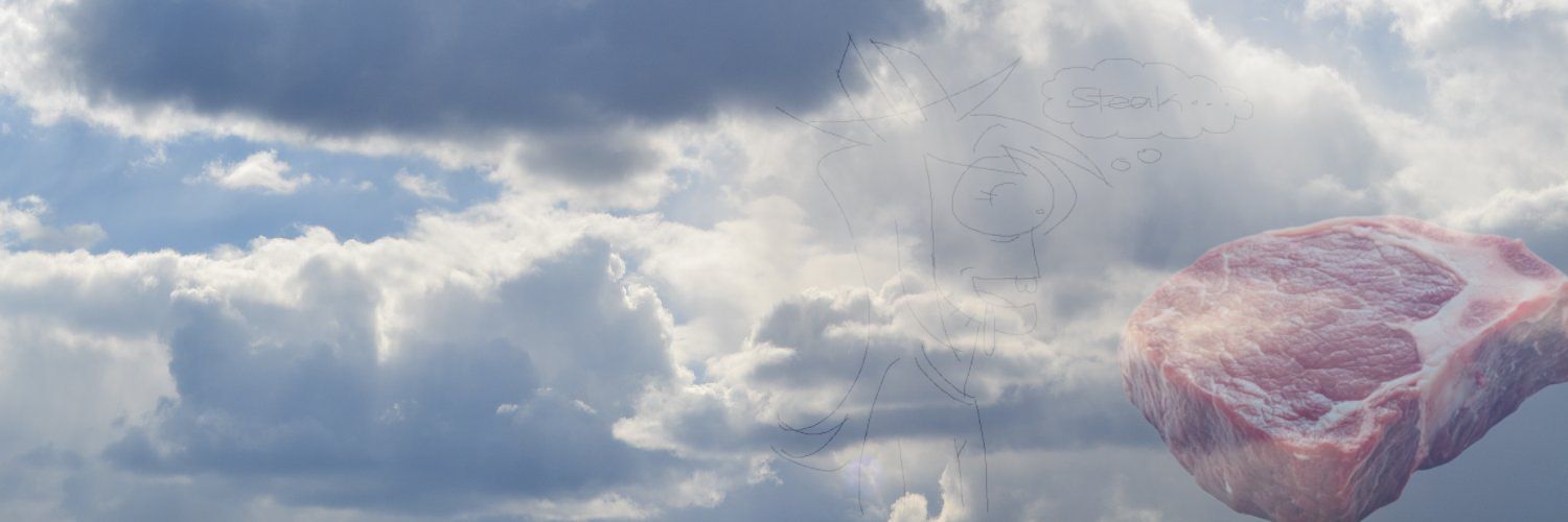 corncat banner