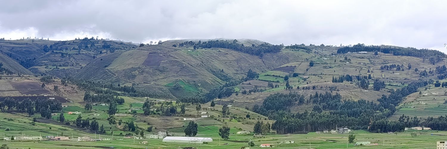 bmichita's profile banner image