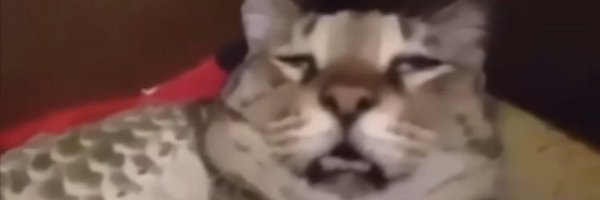 failEssw Profile Banner