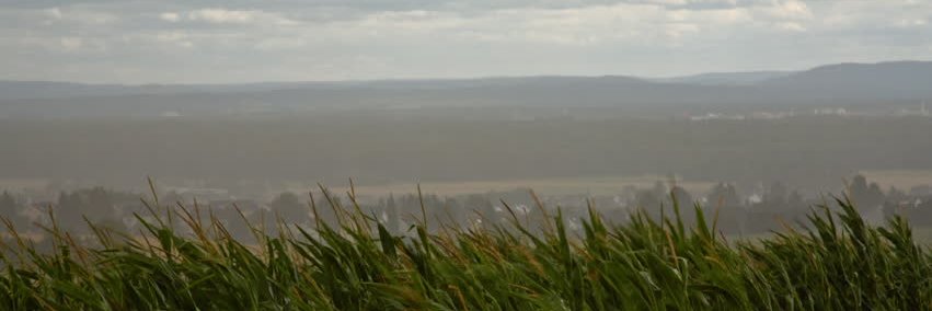 ErlendFram's profile banner image