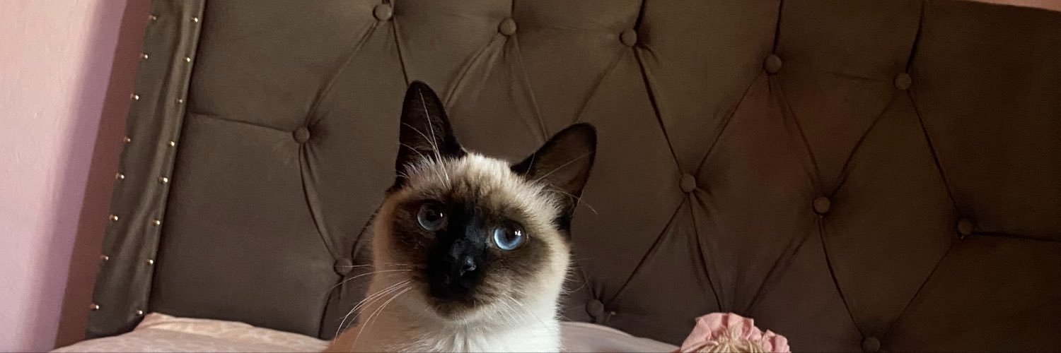 agmorenoo's profile banner image