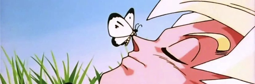 shh banner
