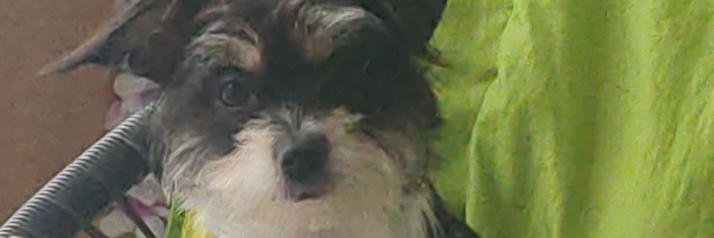 FloLeLyonnais's profile banner image