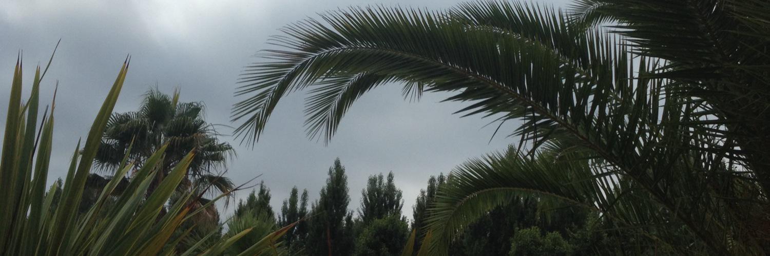 mrndrt's profile banner image