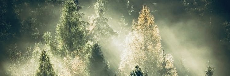 biOsphEre◽️◽️◽️◽️ banner