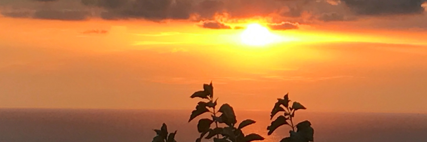 Lauren McCormack MD banner