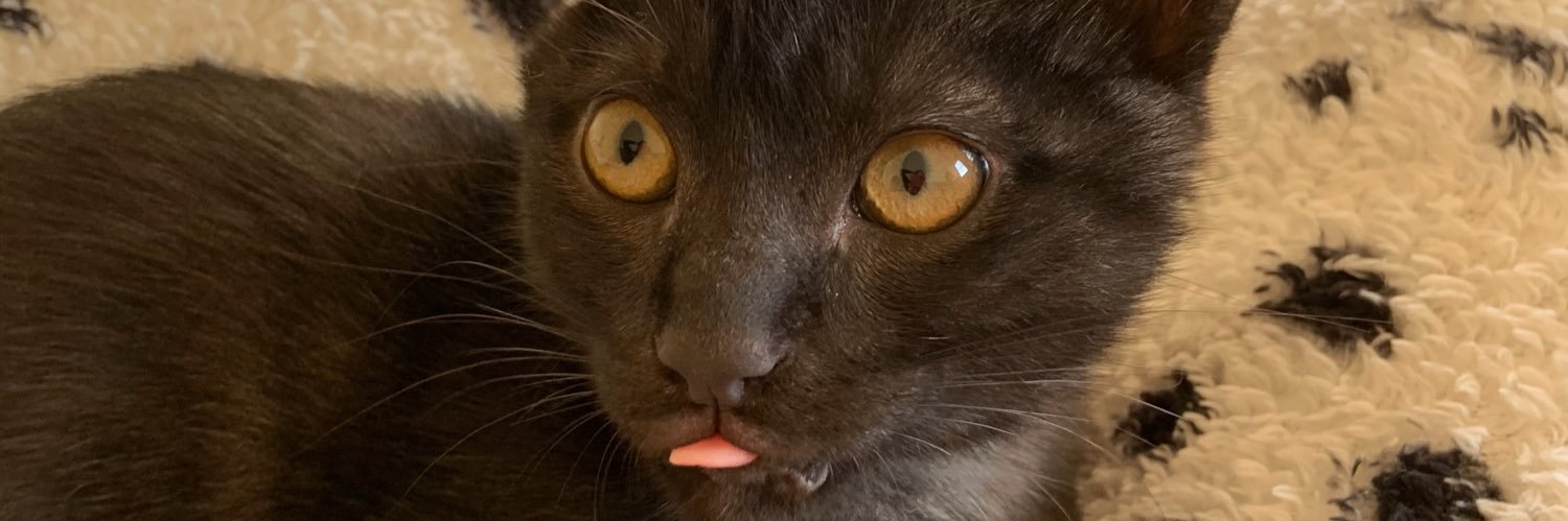 lmdaminelli's profile banner image