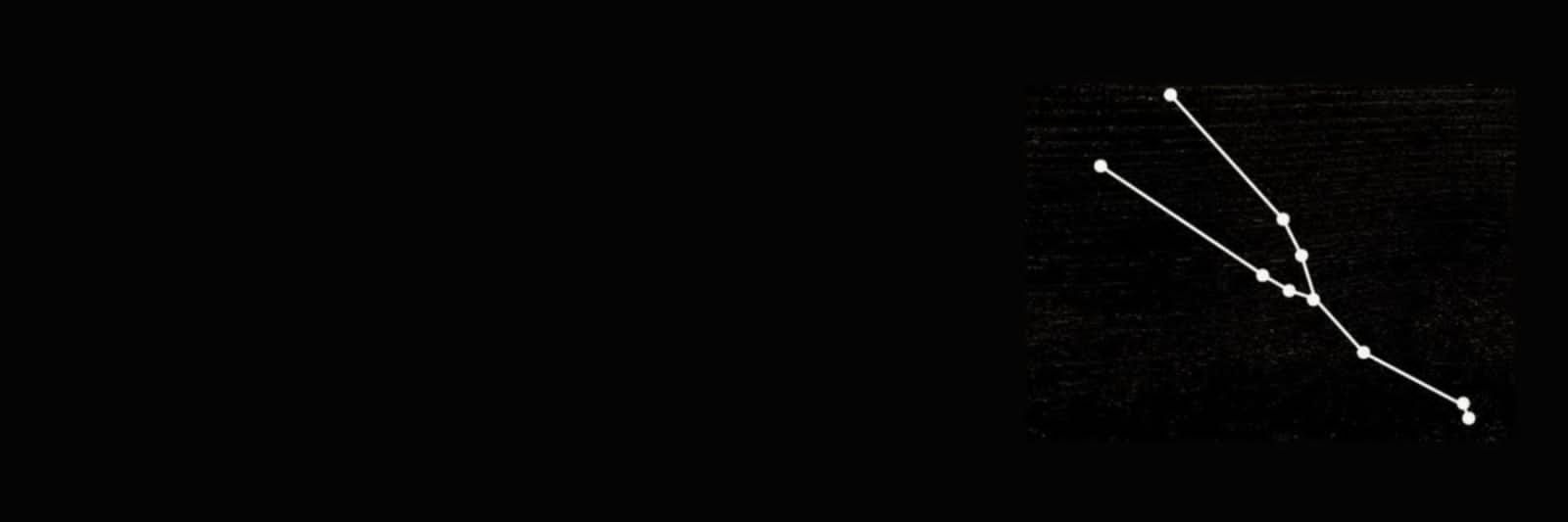 vampir banner