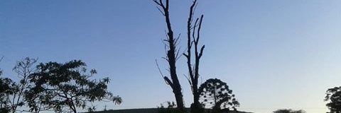 Maria Kartini Betty banner