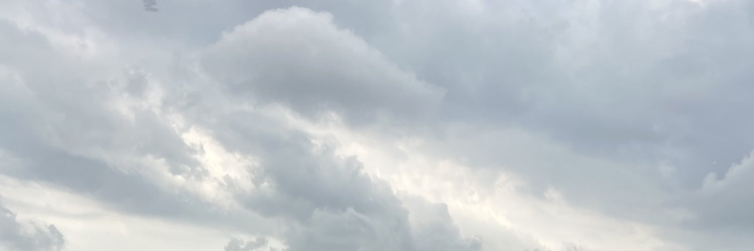 a quail-a banner