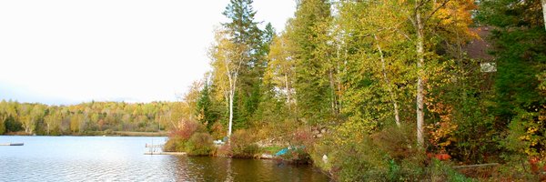 Bibliojo Profile Banner