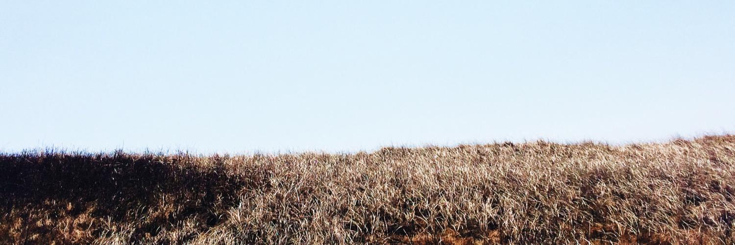 terraciolfe's profile banner image