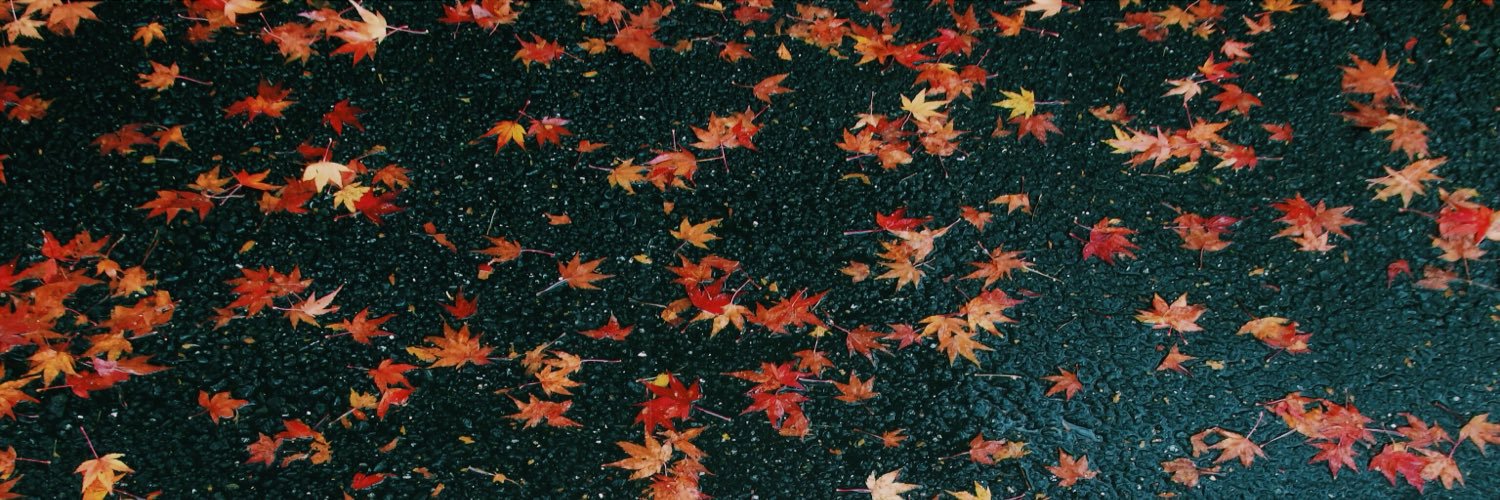 Monami1997_12's profile banner image