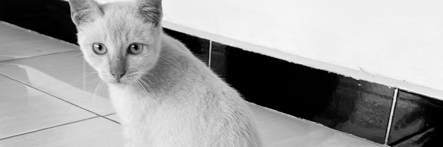 tthandd's profile banner image
