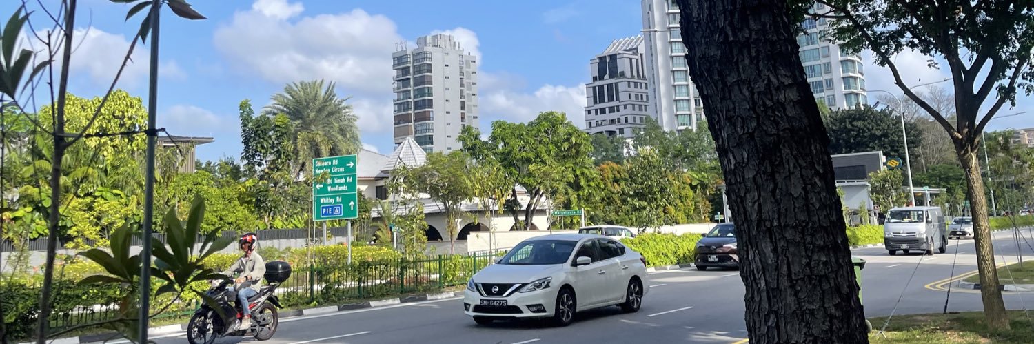 ansii 🐚🪷🌸 banner