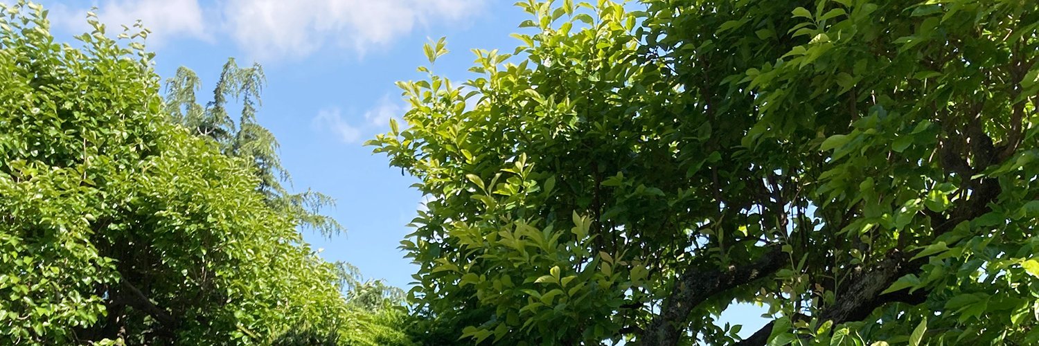 cipa• banner