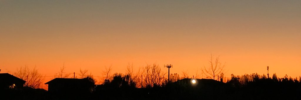_filippofavaro's profile banner image
