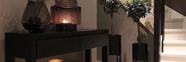 Chapman_ice's profile banner image