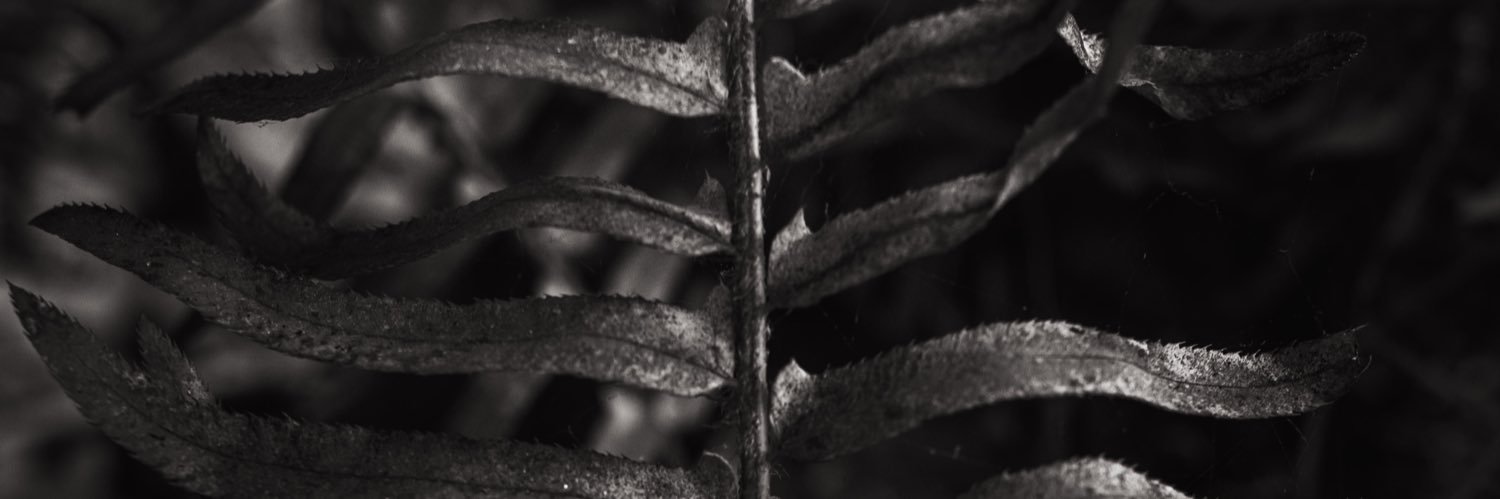 beholdcreators's profile banner image