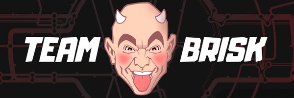 teambriskdjs Profile Banner