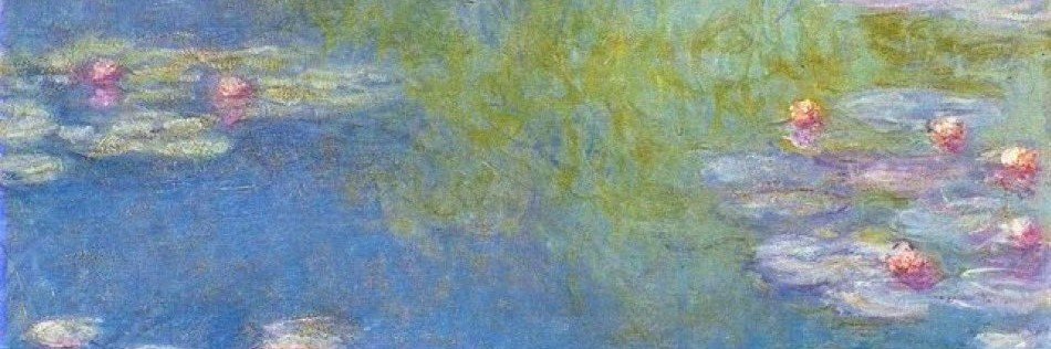 R03981229's profile banner image