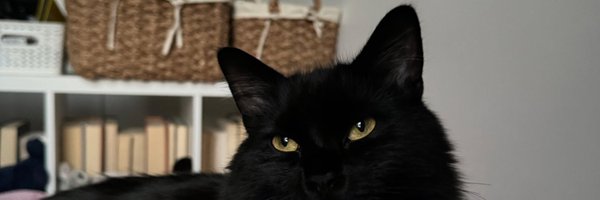 Itsjustari4 Profile Banner