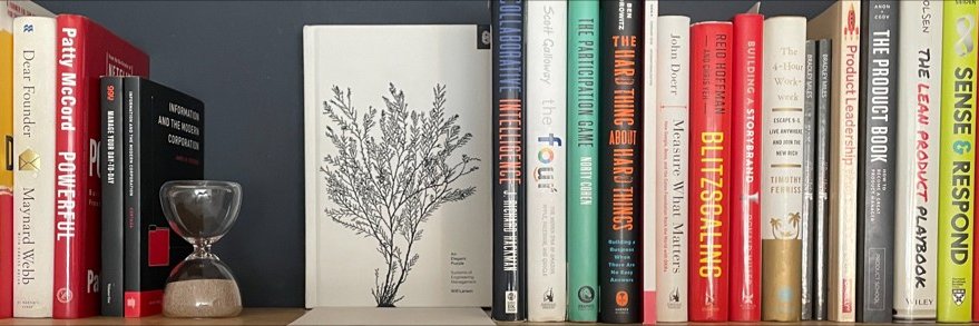 Rodrigo Boyzo banner